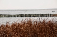 _DSC0855