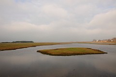 _DSC0899