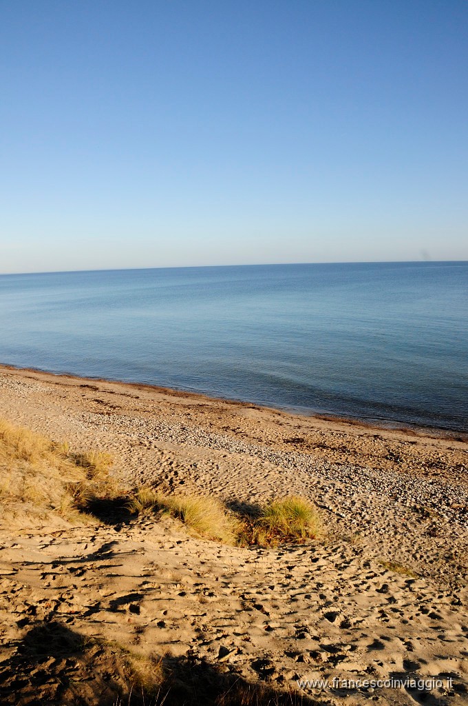 _DSC0996.JPG