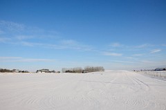 _DSC3435