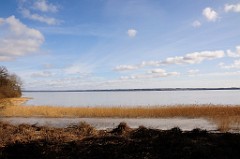 _DSC5165