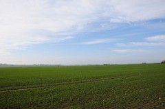 001_DSC4529