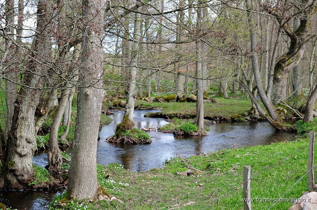 684_DSC7854.JPG