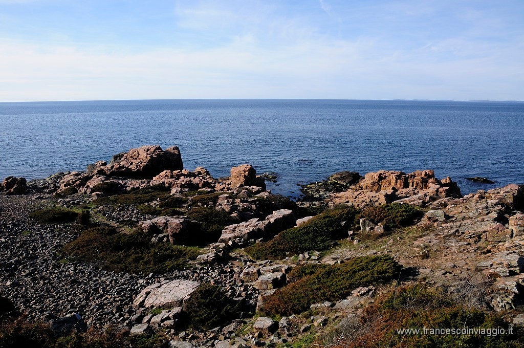 1113_DSC8570.JPG
