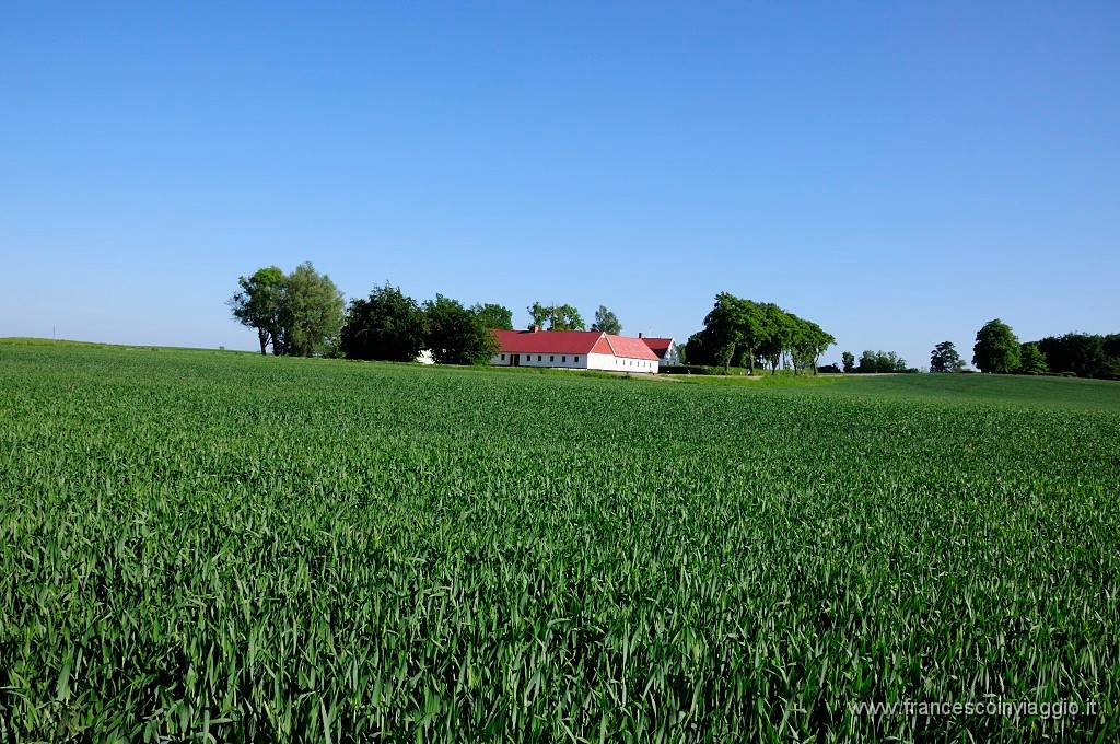 0033_DSC4501.JPG
