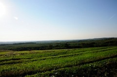 0041_DSC3049