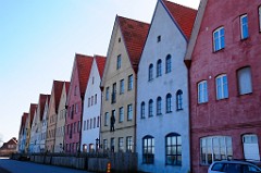 0042_DSC0703