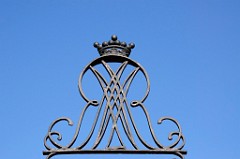 0084_DSC0778