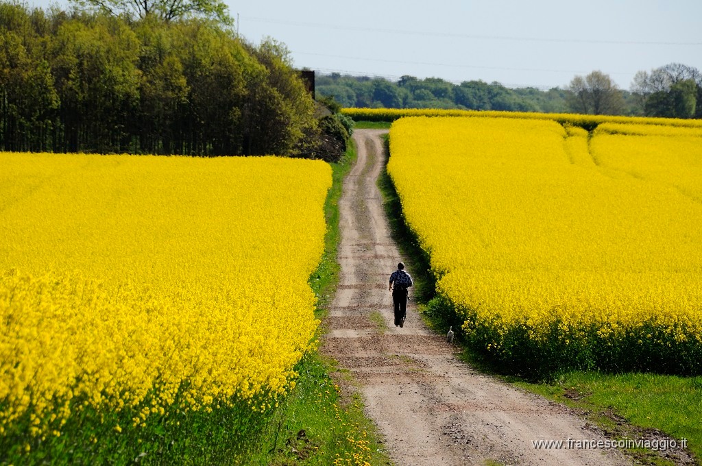 0008_DSC3772.JPG