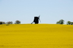 0020_DSC3817