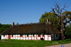 0055_DSC3897