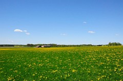 0083_DSC3950
