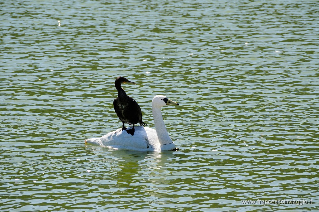 204_DSC1002.JPG
