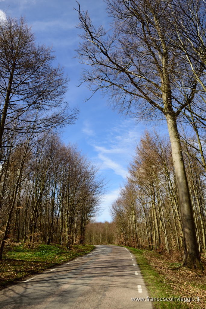 103DSC_4099.JPG
