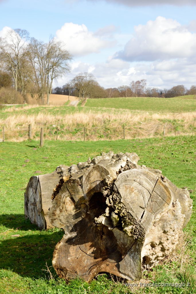 23DSC_4005.JPG