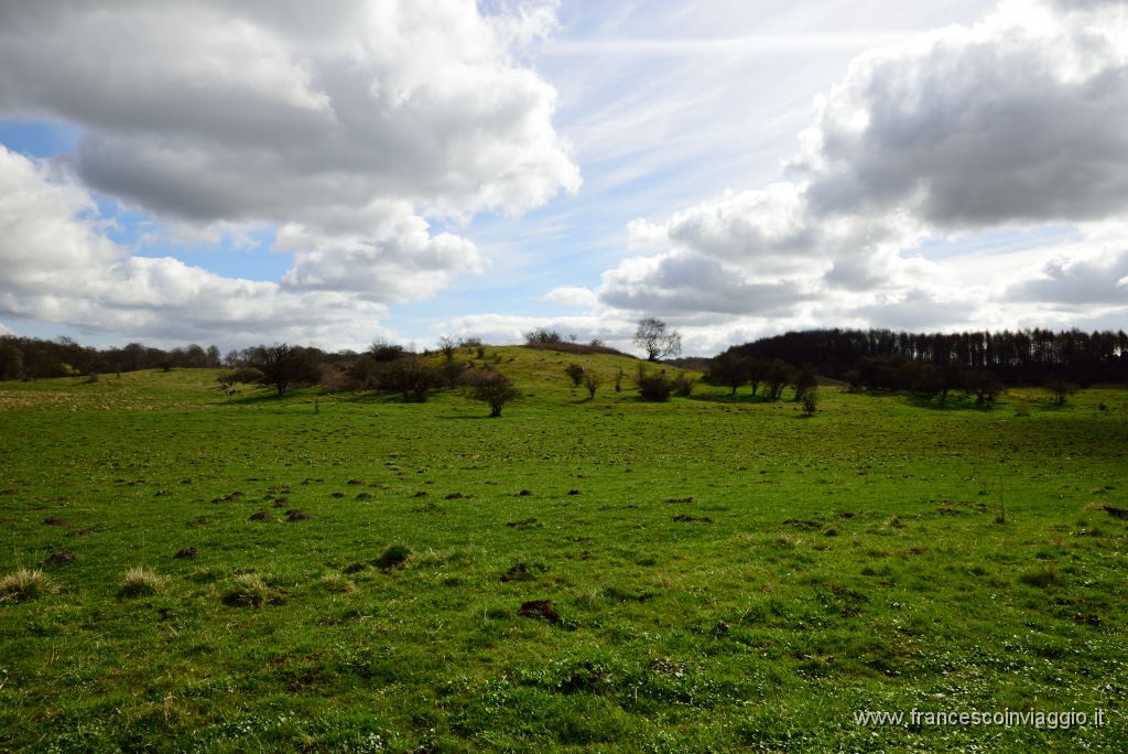 24DSC_4006.JPG
