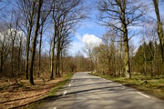 101DSC_4096