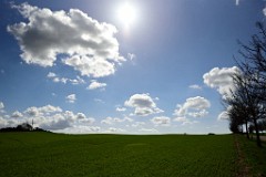 105DSC_4126