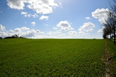 106DSC_4127