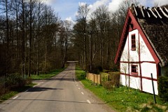 108DSC_4130