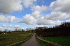 10DSC_3982