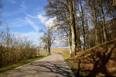 112DSC_4104