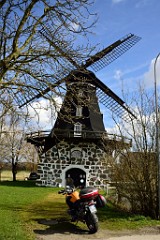 114DSC_4107