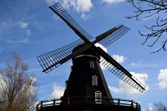 116DSC_4109