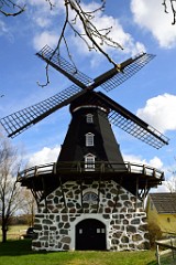 117DSC_4110