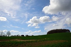 118DSC_4112