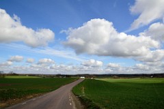 11DSC_3984