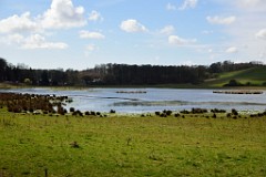 121DSC_4116