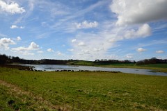 122DSC_4117