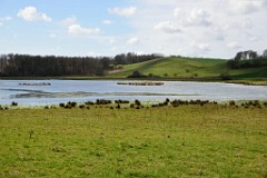 123DSC_4118
