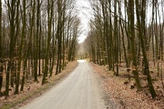 15DSC_3994