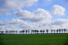 1DSC_3970