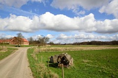 22DSC_4004