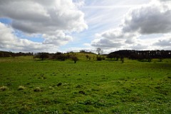 24DSC_4006