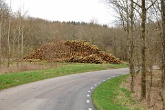 26DSC_4008