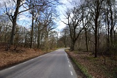2DSC_3972