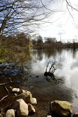 3DSC_3973