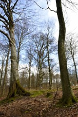 41DSC_4026