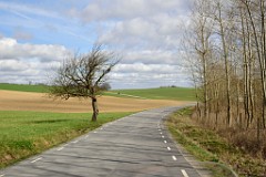 43DSC_4028