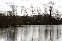 4DSC_3974
