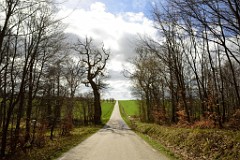 50DSC_4036