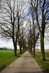 79DSC_4071