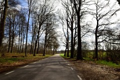 7DSC_3978