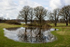 8DSC_3980