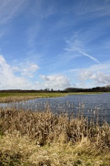 95DSC_4088