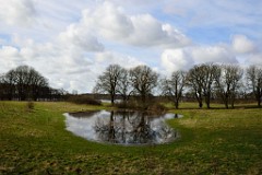 9DSC_3981